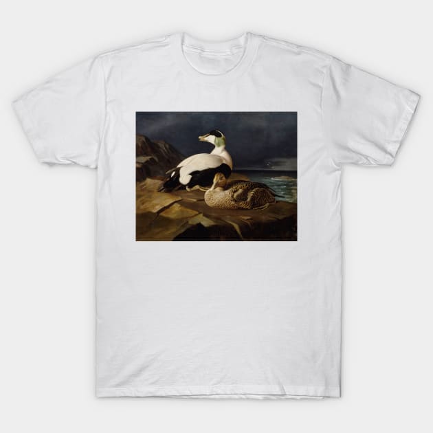 Pair Of Common Eiders On A Rock by Ferdinand von Wright T-Shirt by Classic Art Stall